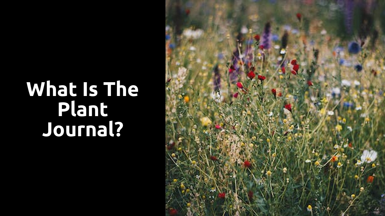 What is the plant journal?